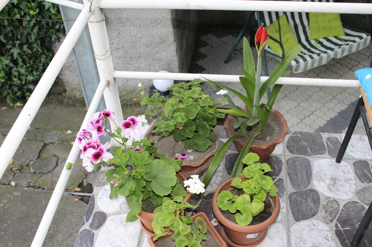 La Deka Guesthouse Lagodekhi Bagian luar foto